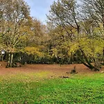 Ramales